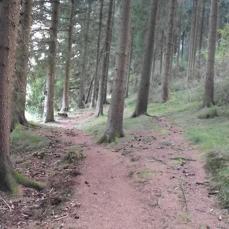 Wald-ferienwohnung In Wildemann, Cleaning Included شقة