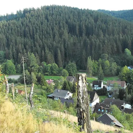 شقة Wald-ferienwohnung In Wildemann, Cleaning Included *