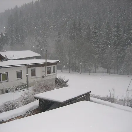 Wald-ferienwohnung In Wildemann, Cleaning Included *