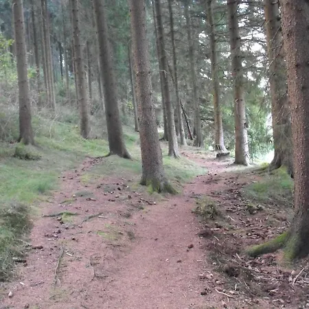 Wald-ferienwohnung In Wildemann, Cleaning Included فيلديمان