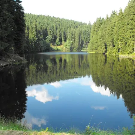 شقة Wald-ferienwohnung In Wildemann, Cleaning Included