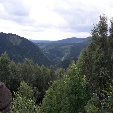 شقة Wald-ferienwohnung In Wildemann, Cleaning Included